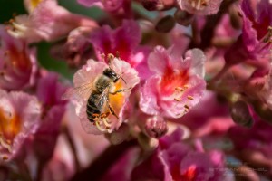 20160513-175814-20160513dsc_0168